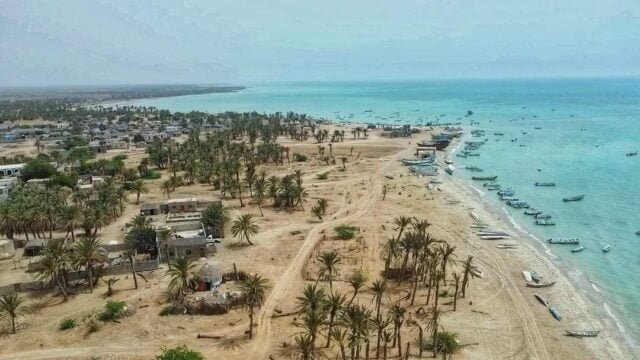 الرحلات العلمية والترفيهية