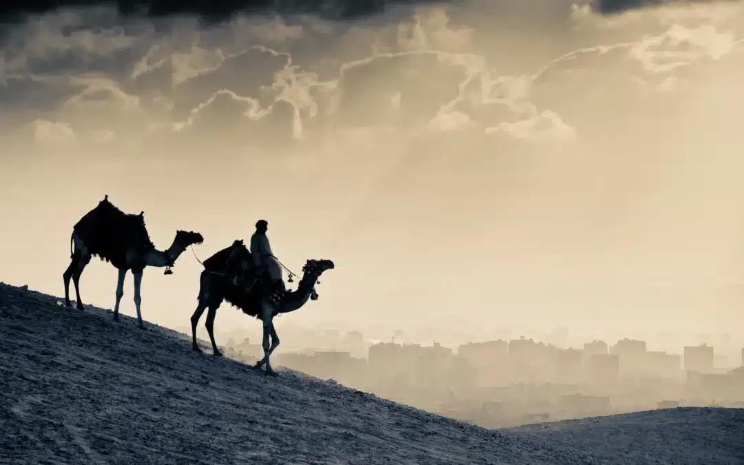 الرحلة الدعوية من مكة إلى المدينة