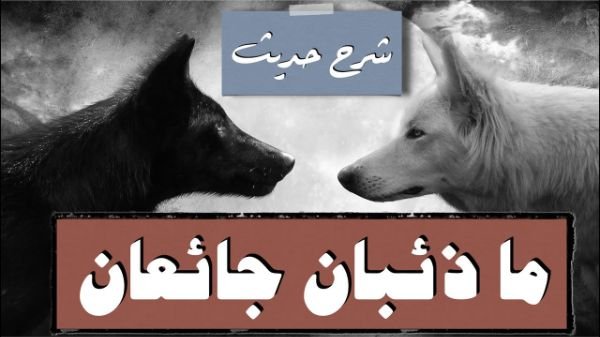 ماذئبان جائعان