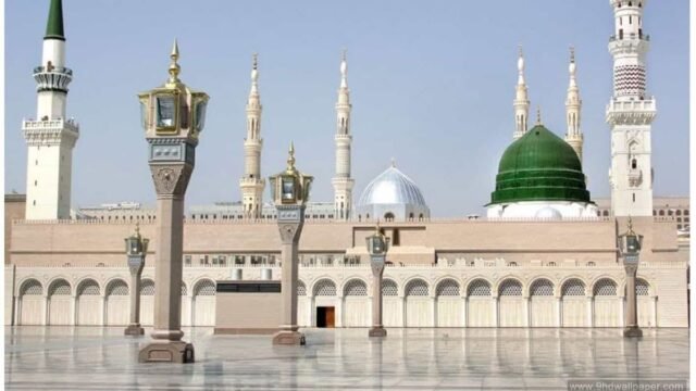 اصطفاهم الله