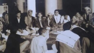 حياتي التعليمية
