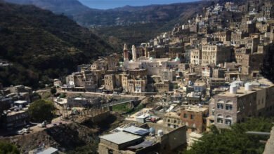 دراستي في جبلة