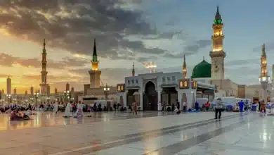 الدراسة في المدينة المنورة