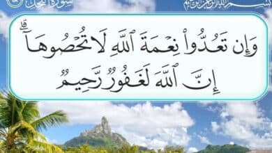 نِعم الله على الإنسان