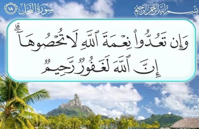 نِعم الله على الإنسان