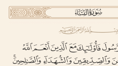 الخلق الذين فضّّلهم الله