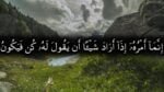 مشية الله و مشيئة الإنسان