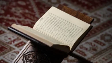 ماهي المجالات التي تناولها القرآن الكريم