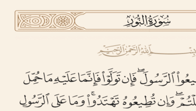 البلاغ المبين