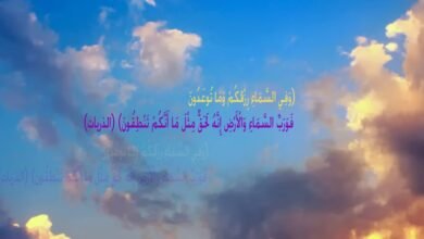 سنة الله في الرزق