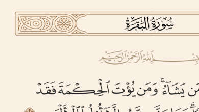 اللب في القرآن الكريم