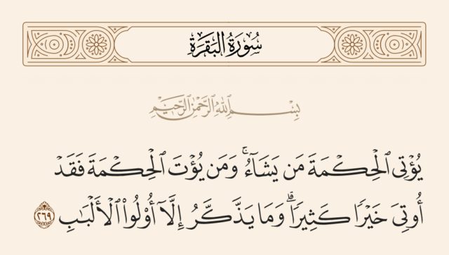 اللب في القرآن الكريم