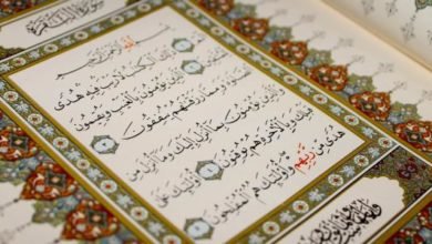 البناء الاقتصادي وحفظ الحقوق
