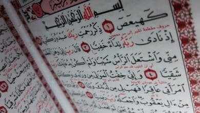 مسببات الشيب