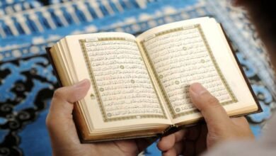 أهداف سور القرآن الكريم