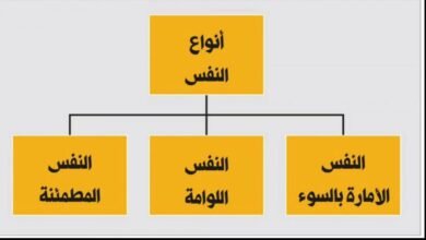 أنواع الأنفس التي ذكرت في القرآن الكريم