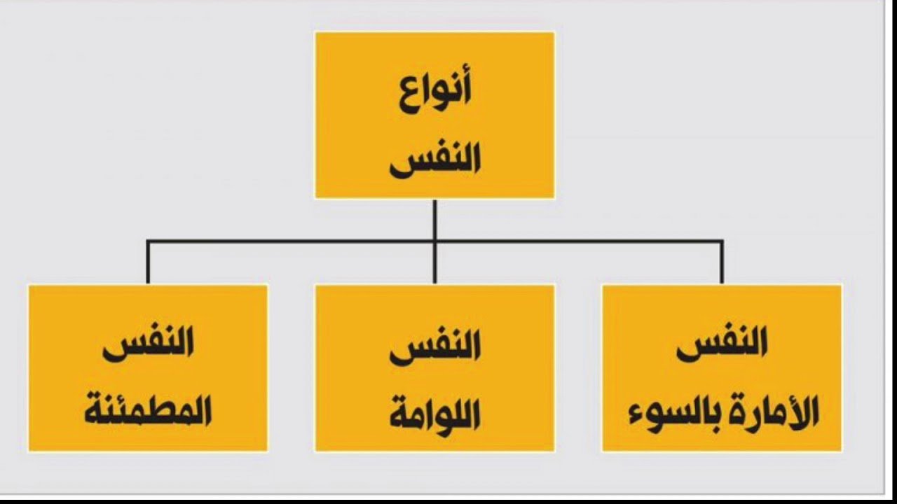 أنواع الأنفس التي ذكرت في القرآن الكريم