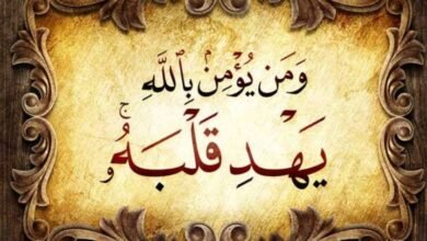 السبيل إلى الهداية